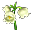 Muguet