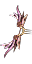 Arcdabricotdivin.png